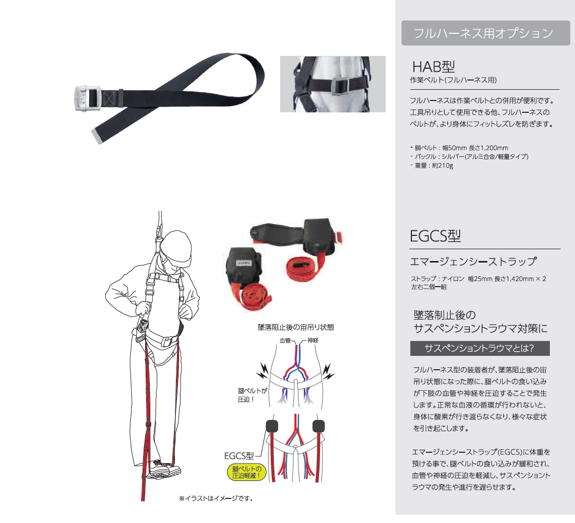 交換無料 タイタン ETN-9A-L 江戸鳶ハーネス L寸